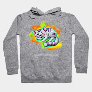 Sweet cat Hoodie